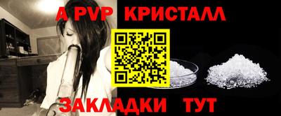 сатива Тверь