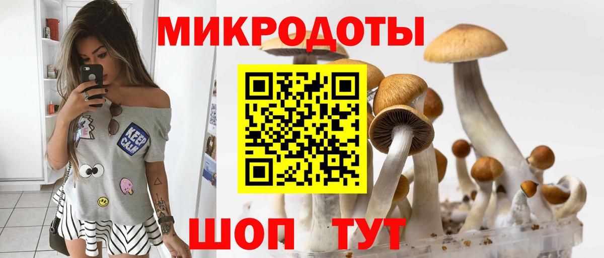 Галлюциногенные грибы ЛСД  купить наркотики цена  Норильск  Вход с VPN 